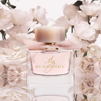 Parfum Burberry Blush